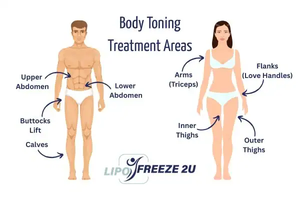 Graphic showing where you can have Body toning Treatment Royal Tunbridge Wells on your body